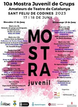 10a Mostra Juvenil de Grups Amateurs de Teatre de Catalunya